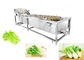 Bubble Type Vegetable Cleaning Washing Machine Vegetable Washing Solution Industrial supplier