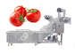 Industrial Fruit Bubble Washing Machine Tomatoes Pepper Bubble Washer for Fruit and Vegetable supplier