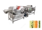 Commercial Vegetable Fruit Washing Equipment Vegetable Processing Line for vegetable processing plant supplier