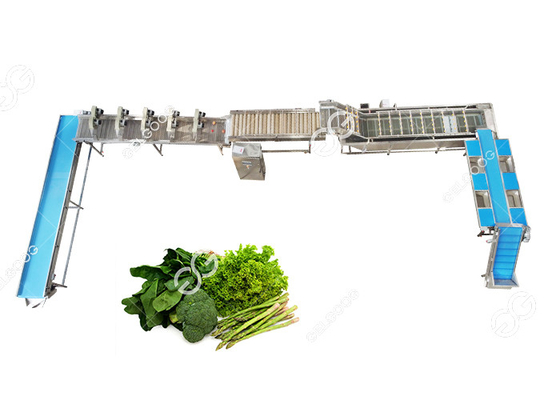 China CE Certified Stainless Steel Automatic Leafy Vegetable Washing Line Vegetable Processing Plant supplier