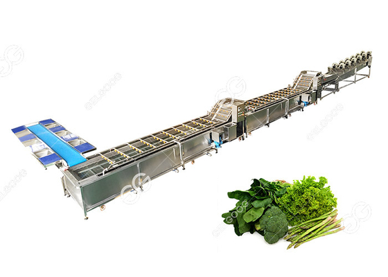 China CE Certified Stainless Steel Commercial Vegetable Washer Washing Line Vegetable Processing Plant supplier