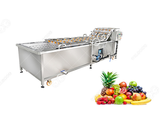 China Ce Certified Stainless Steel Fruit Processing Machine Fruit Mango Apple Washing Machine supplier