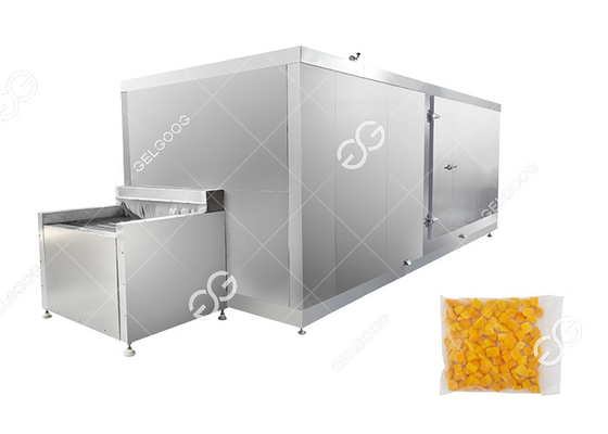 China Factory Price Frozen Mango Production Line Fruit And Vegetable Processing Industry supplier