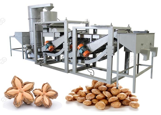 China Fully Automatic Walnut Sheller 200 - 300kg/H Capacity 12 Monthes Warranty supplier