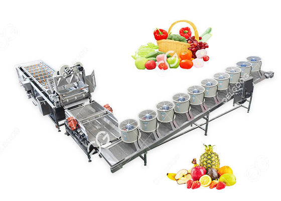China Efficient Customized Fruit And Vegetable Washing And Drying Production Line supplier