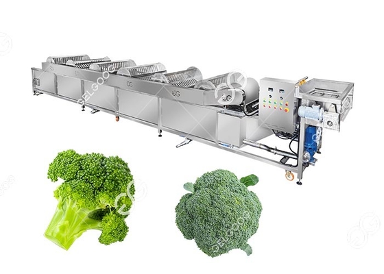 China Industrial Frozen Broccoli Cauliflower Vegetable Washing Cleaning Production Line supplier