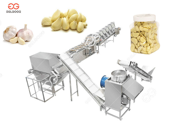 China Automatic Garlic Peeling Line , Garlic Separating And Peeling Machine supplier