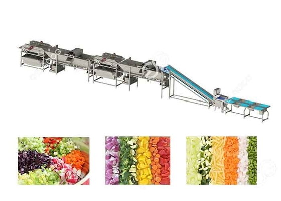 China Commercial Vegetable Fruit Washing Equipment Vegetable Processing Line for vegetable processing plant supplier