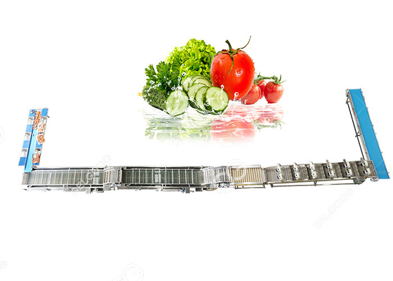 China Automatic Fruit And Vegetable Washer Fruit And Vegetable Washing Processing Equipment supplier