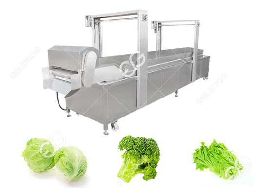 China Automatic Food Precooking Vegetable Blanching and Cooking Machine supplier