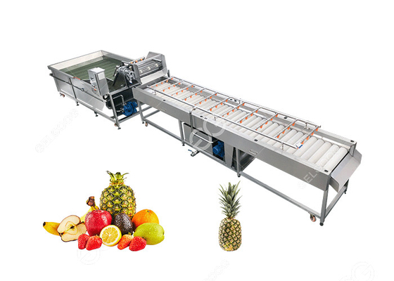 China Large Output Pineapple Cleaning Machine 2T/H supplier