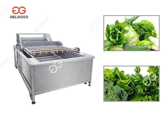 China Ozone Leaf Vegetable Washing Machine Vegetable Washer For Sale supplier