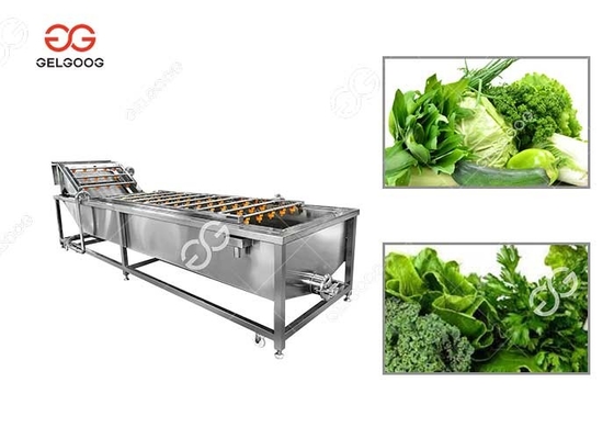 China 300-5000KG/H Leafy Vegetable Washing Machine Green Leaves Washing Machine supplier