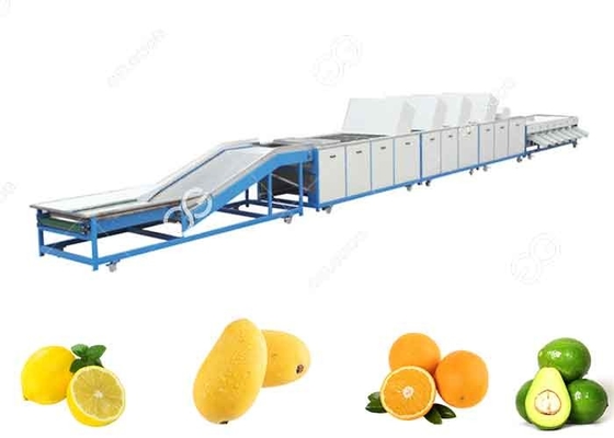 China 1t/H-5t/H Fruit Washing Equipment Fruit Washing Line For Fruit Export Sales supplier