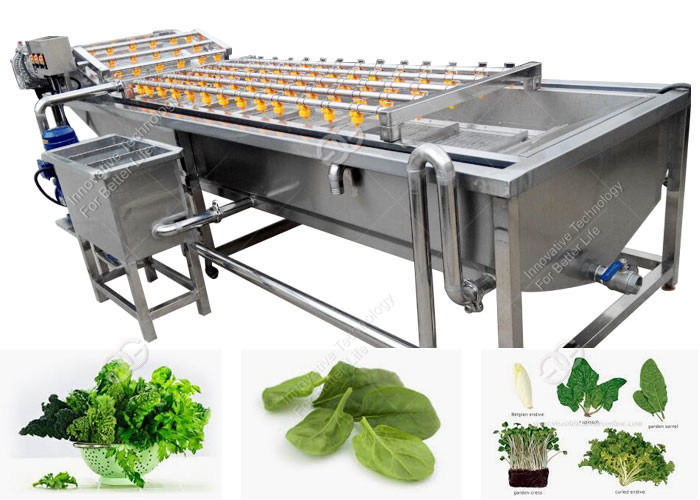Bubble Type Vegetable Cleaning Washing Machine Vegetable Washing