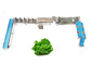 CE Certified Stainless Steel Automatic Leafy Vegetable Washing Line Vegetable Processing Plant supplier