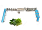 CE Certified Stainless Steel Commercial Vegetable Washer Washing Line Vegetable Processing Plant supplier