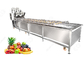 Ce Certified Stainless Steel Fruit Processing Machine Fruit Mango Apple Washing Machine supplier