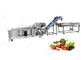 380V CE Certified Stainless Steel Commercial Fruit And Vegetable Washing Processing Line supplier