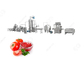 500 Kg Per Hour For Industrial Use Tomato Processing Machine Tomato Sauce Production Line Price supplier