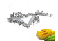 500kg/H Hot Sale Automatic Plantain Chips Processing Machines Banana Chips Product Line supplier