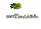 CE Certified Stainless Steel Commercial Vegetable Washing Cutting Machine Vegetable Processing Unit supplier