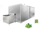 Hot Sale Automatic Frozen Broccoli And Cauliflower Processing Line Fruit And Vegetable Processing Line supplier