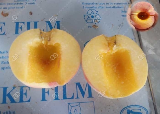 Automatic Peach Half Cutting And Pitting Machine Nucleation Rate 98% supplier