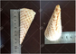 Stainless Steel Ice Cream Cone Making Machine 380V Voltage 1800pcs / H Capacity supplier