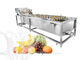 Multifunction Vegetable Fruit Washing Machine Sorting Processing And Air Drying Line supplier