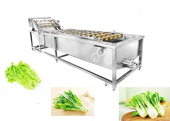 Bubble Type Vegetable Cleaning Washing Machine Vegetable Washing Solution Industrial supplier