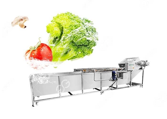 Bubble Type Vegetable Cleaning Washing Machine Vegetable Washing Solution Industrial supplier