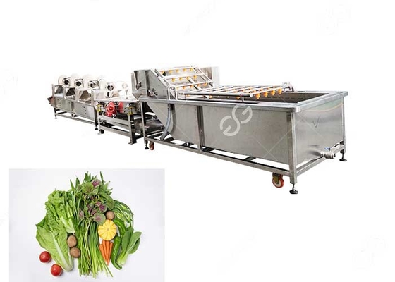 Bubble Type Vegetable Cleaning Washing Machine Vegetable Washing Solution Industrial supplier