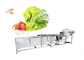 Industrial Frozen Broccoli Cauliflower Vegetable Washing Cleaning Production Line supplier