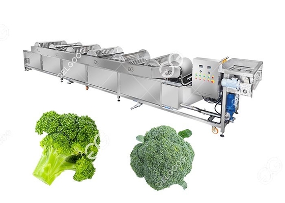 Industrial Frozen Broccoli Cauliflower Vegetable Washing Cleaning Production Line supplier