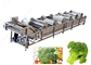 Industrial Frozen Broccoli Cauliflower Vegetable Washing Cleaning Production Line supplier