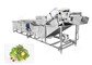 Bubble Type Ozone Vegetable Washing Machine Strawberry Cherry Fruit Washing Equipment supplier