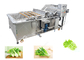 Leaf Vegetable Washing Machine Fruit And Vegetable Processing Equipment Without Damanage supplier