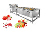 Automatic Fruit And Vegetable Washer Fruit And Vegetable Washing Processing Equipment supplier
