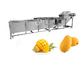 Sterilization And Disinfection Mango Washing Machine Fruit Washing Machine Factory supplier