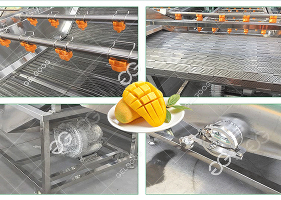 Sterilization And Disinfection Mango Washing Machine Fruit Washing Machine Factory supplier