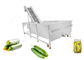 Industrial Cucumber Washer Cucumber Washing Processing Machine For Pickled Cucumber Dried Cucumber supplier