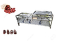 Multifunction Automatic Dates Sorting And Grading Machine With 2000kg/h Dates Process Machinery supplier