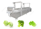 Automatic Food Precooking Vegetable Blanching and Cooking Machine supplier