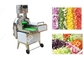 Multifunction Vegetable Cutting Machine 0-60 Mm With Double Frequency Conversion supplier