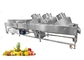 Automatic Vegetable  Air Drying Machine Water Remove Machine For Dates,Apple,Vegetable supplier