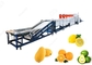Orange Washing Waxing Drying And Grading Machine Fruit Cleaning And Waxing Machine supplier