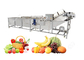 Fruit Washing Machine Manufacturers Fruit Washing Machine Australia supplier