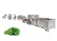 Industrial  Moringa Leaf Powder Production Line supplier