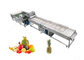 Large Output Pineapple Cleaning Machine Fruit Processing Equipment2T/H supplier
